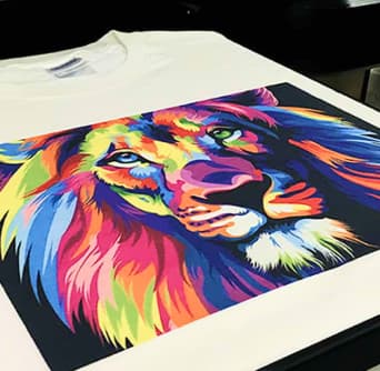 Experience the best in <br class='block sm:hidden'/>DTG printing